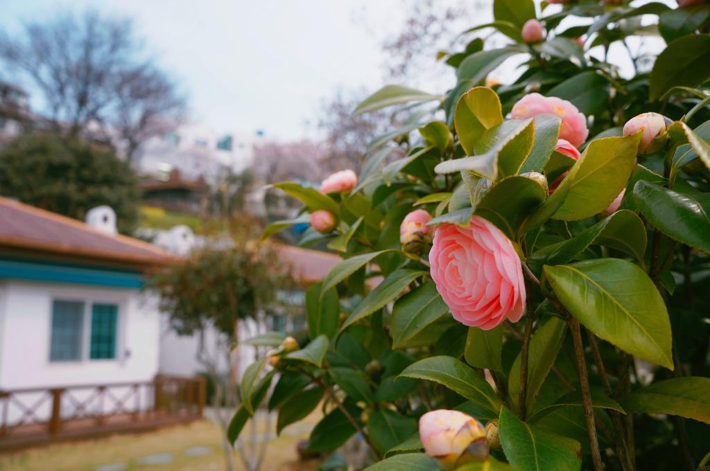 Soh Guesthouse Тхоньен Екстериор снимка
